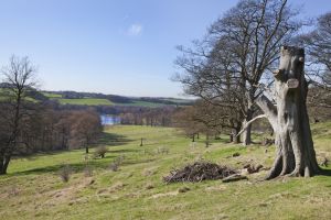 Hardwick Hall 6 sm.jpg